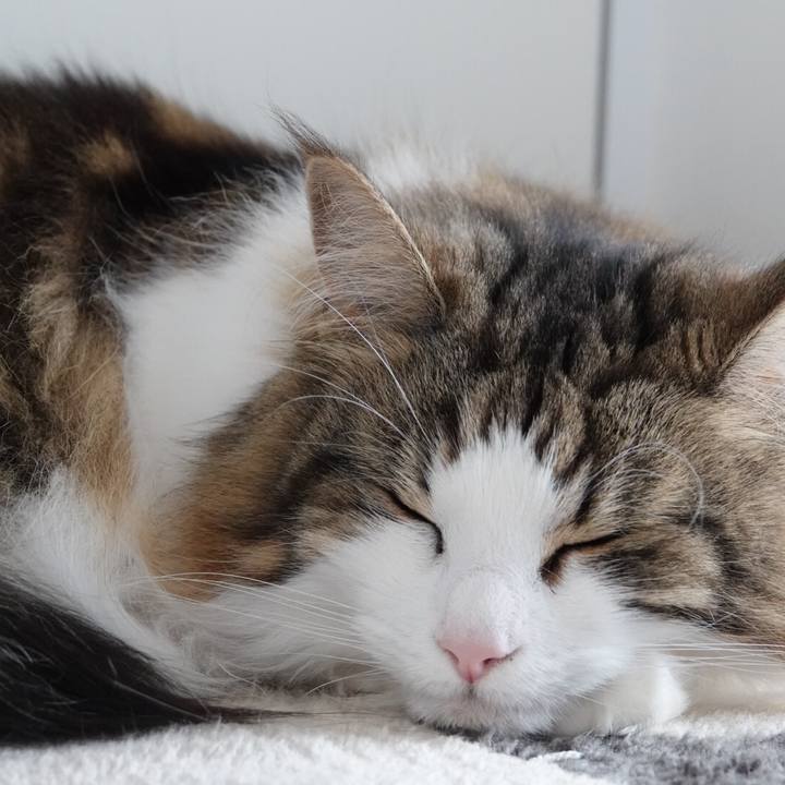 44dcc595 d23b 473e b53d b2226573582f 1559625237124