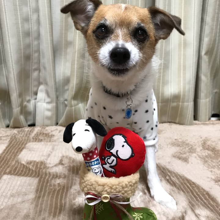 44dce2a4 cefc 44b6 8111 959bc5ff0174 1545700483766