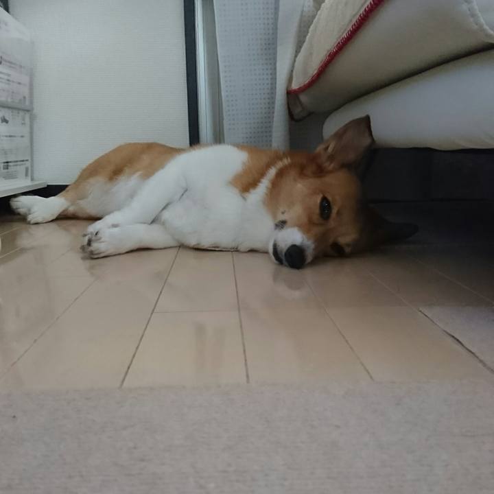 44dd09db cad6 4a20 81a0 fffec1749017 1532410997762