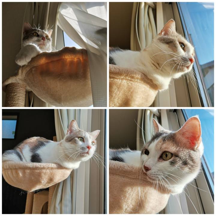 44dd0e50 e9da 4b6e 8a80 543cbc65c19e 1681103512430