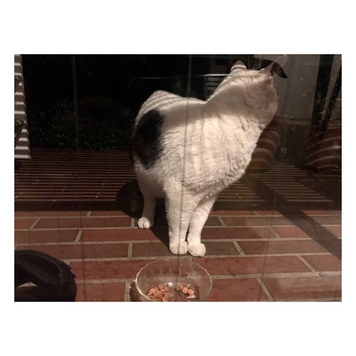 44dd20d2 92fa 4a7f 9d54 627c5e1e50e5 1650882616404