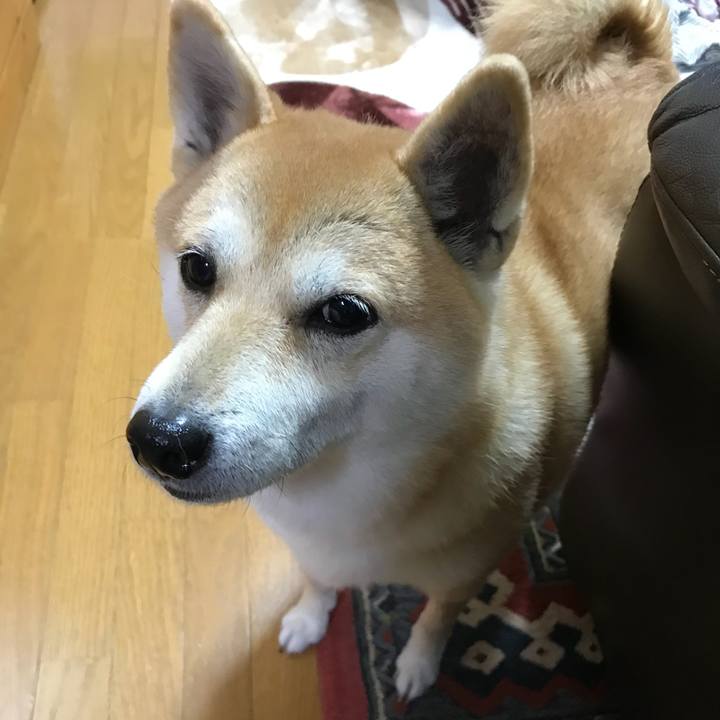 44dd754f 9fb6 48c4 82d6 e59cd50747c7 1515541711009