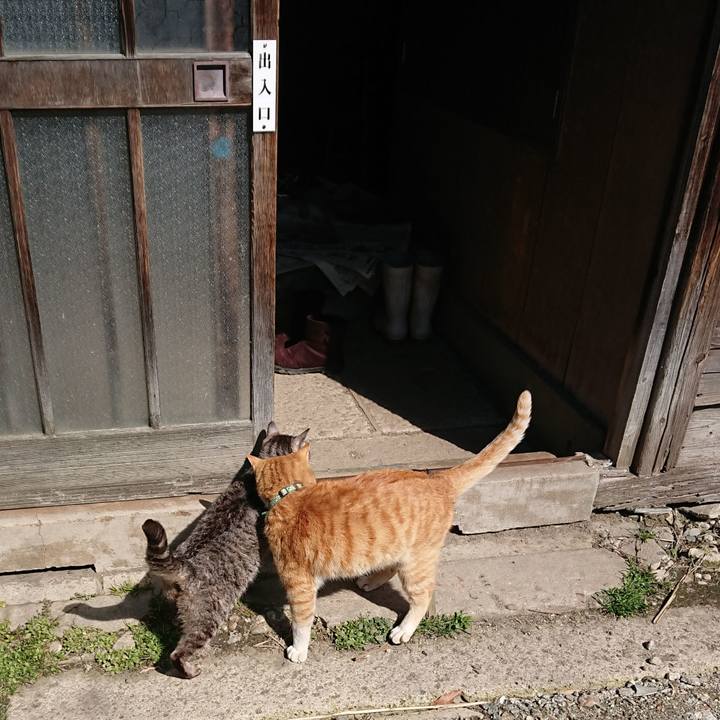 44dd94a1 8144 478f b8d2 ec971943a4b5 1584237000848