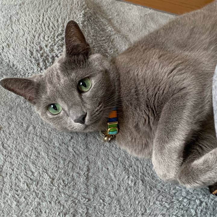 44dde81d cce4 4c92 b857 76a1db79f3a2 1661825407278