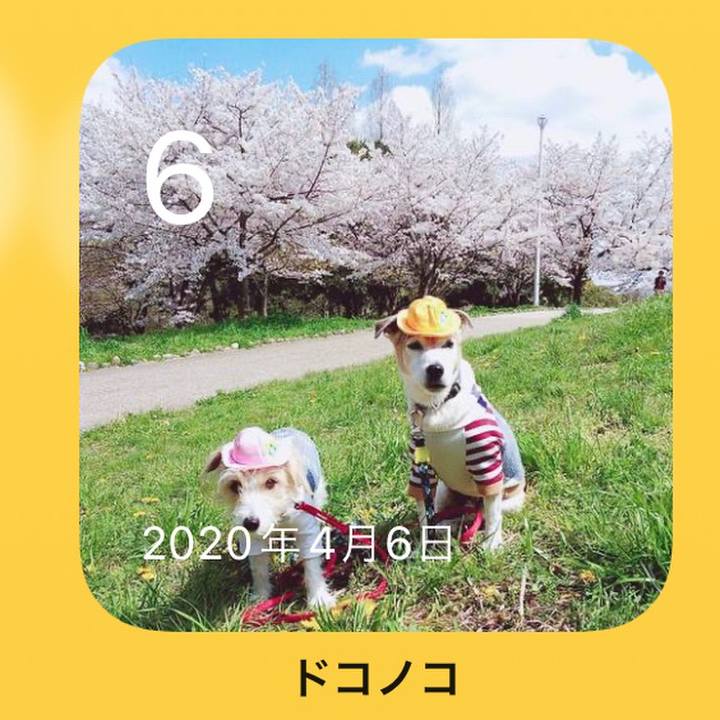 44de037c eb3b 4a62 b500 286ef9d4f032 1649206841382