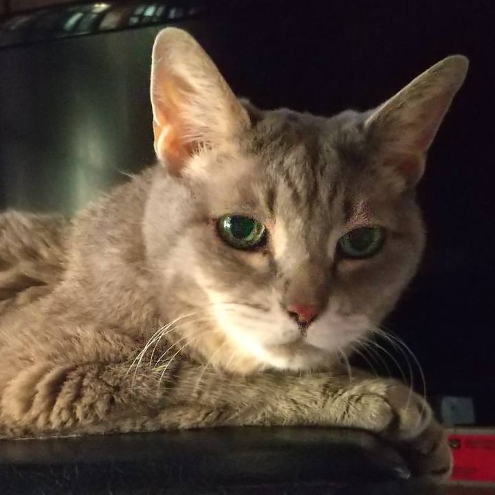 44de08e0 a4f7 48f7 bb45 69865b11cab6 1693260415552