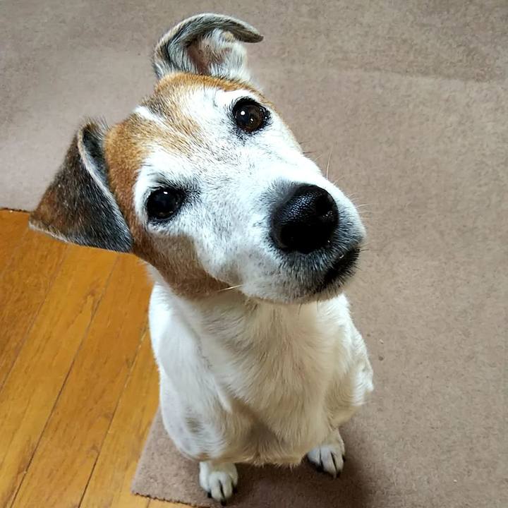 44de43ee de4d 42e4 a0fc 46362d314fd5 1539561580702