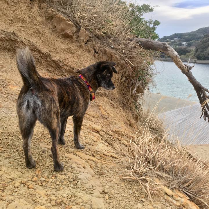 44de5865 9f2d 49cf 8b17 33c4bbcd5055 1516202584339