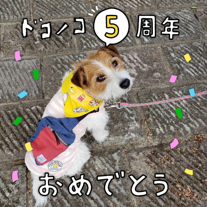 44deaeb6 d85e 4237 bd00 dd6270c58cda 1622872398327