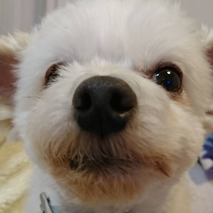 44dec02d 7049 445a 88a6 78199b07e0d3 1523698530100