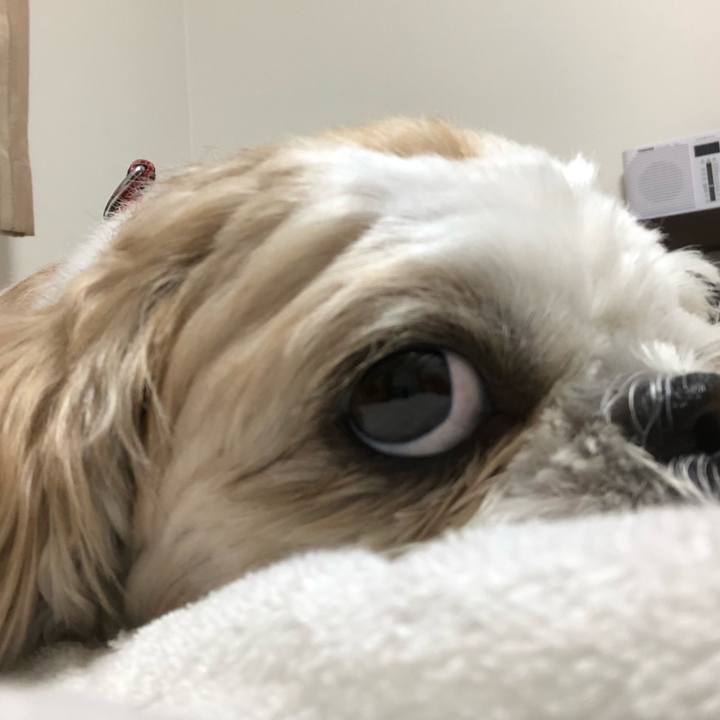 44dee3dd e5b1 45d5 a614 adf4e09e9d58 1565484036039