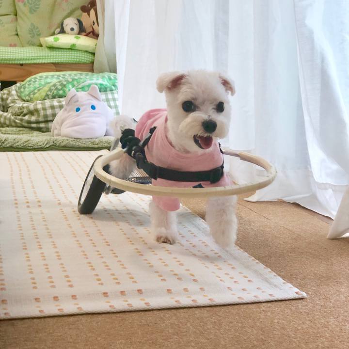 44df0175 400b 49dd 9fcd 0112b64ff836 1561788796318