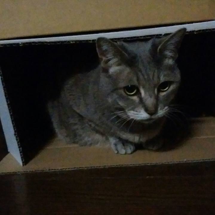 44df396d 279d 478a b411 78032a917d73 1559301900657