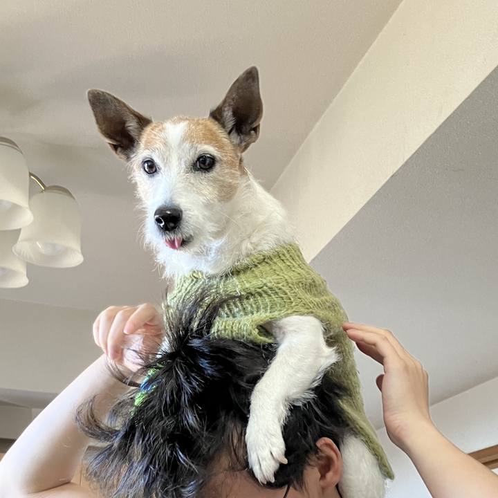 44df63f7 5c2f 460c 8ceb 1c9280e1cd2d 1738712643699