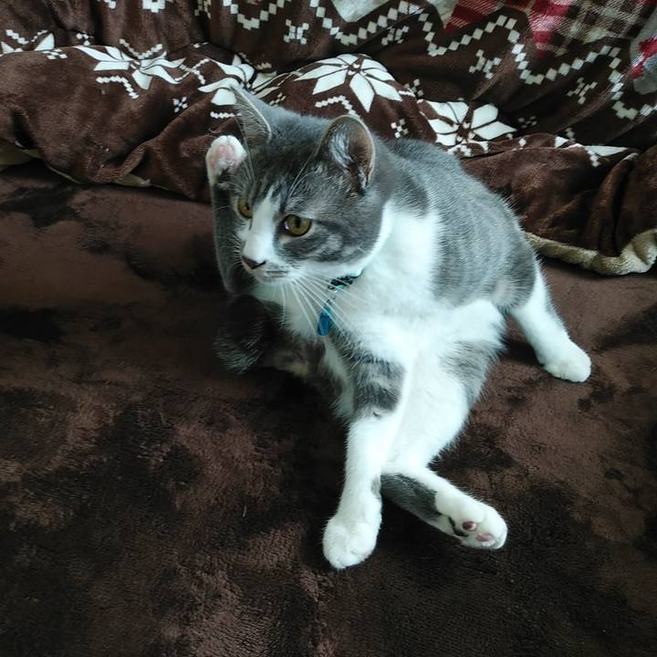 44df6429 37f2 4a57 90fb a66b4bf0eb06 1579486938239