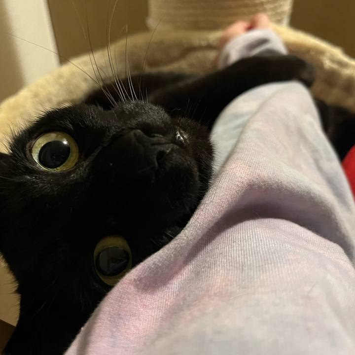 44df74eb 6767 4e63 84c6 42947ebaa53a 1713796566027