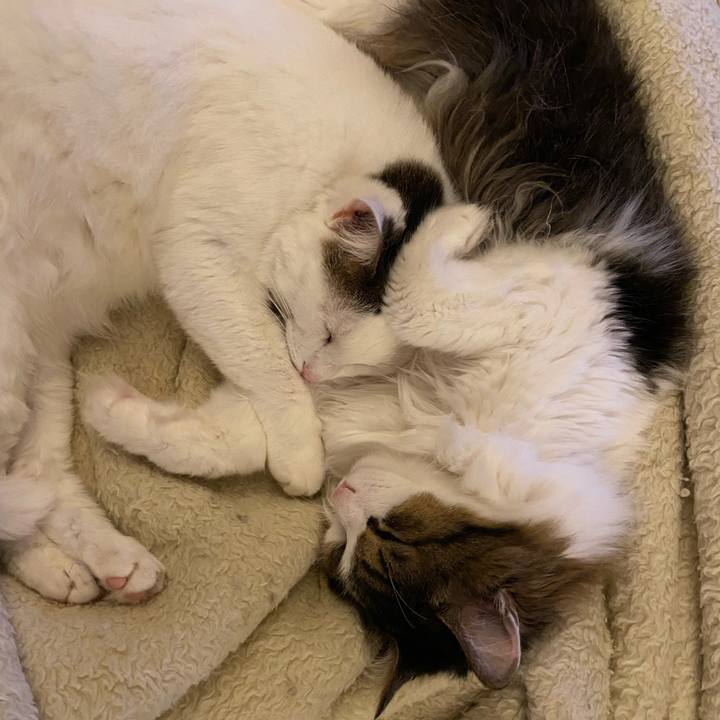 44dff1fc 9c7b 424e a895 d6ce9d0151c6 1667086009992