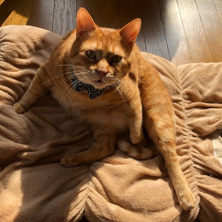 44dff5f2 6f92 4db1 97aa 76650ecfc864 1585957087725