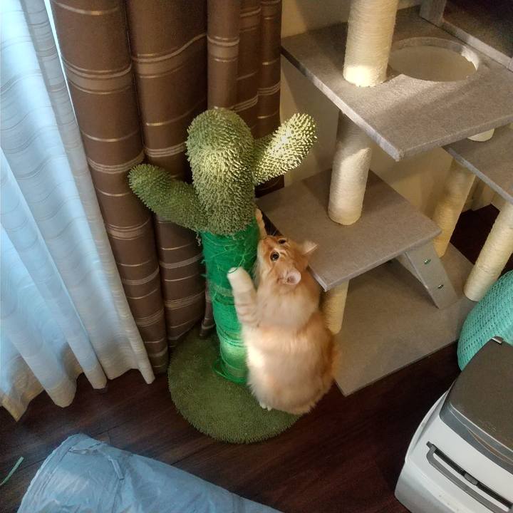 44e013a1 6be1 45ff a024 c259ad071107 1649283074758