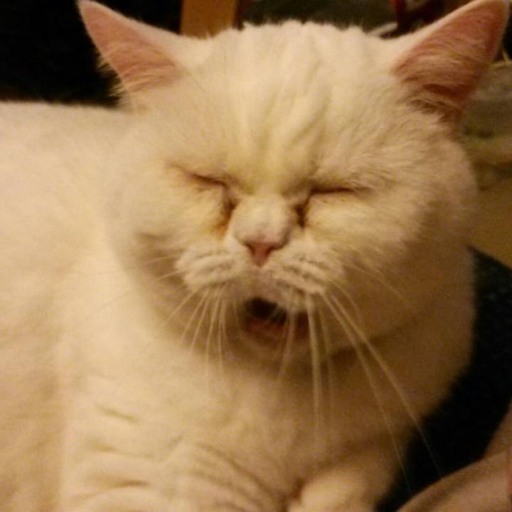 44e01d8c 0118 4343 b792 0b2f941314fa 1551015413250