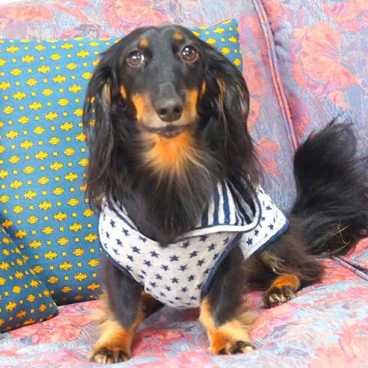 44e01efa 44ca 4266 b4d5 66c9262f0925 1510361655384