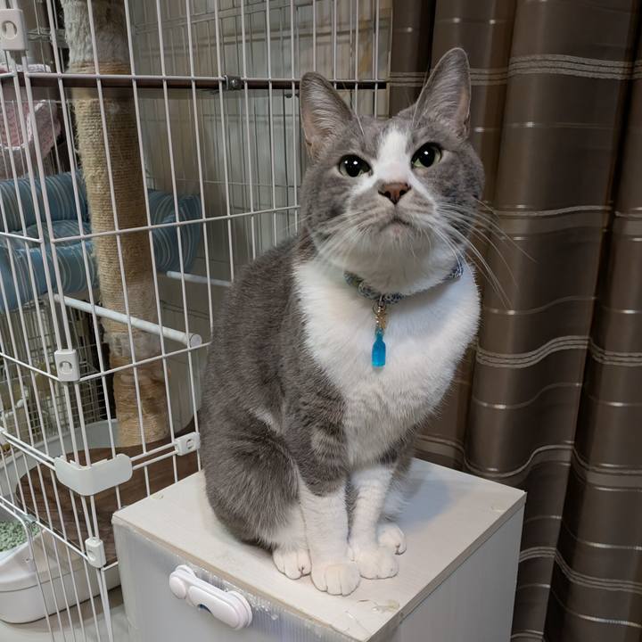 44e03c83 0b60 4852 a578 64868ec0860c 1737373122635