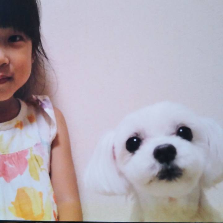 44e0518c 9ecd 4f5a b3f6 df40de518660 1571103973139