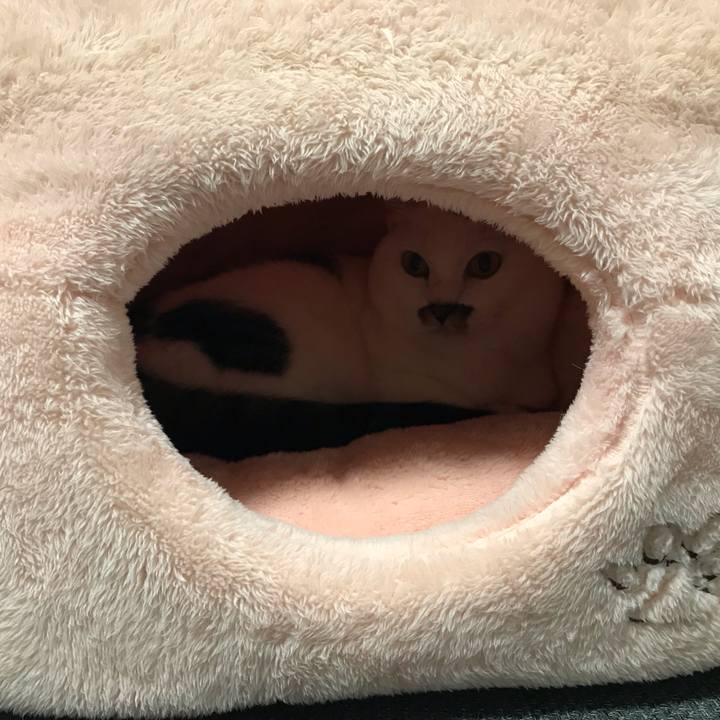 44e09e7c 8db8 4310 a67c 14e16e41fdd2 1541321720200