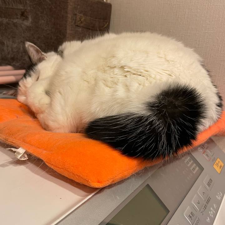 44e0a575 4939 4551 9ef6 f841786560d3 1735826460247