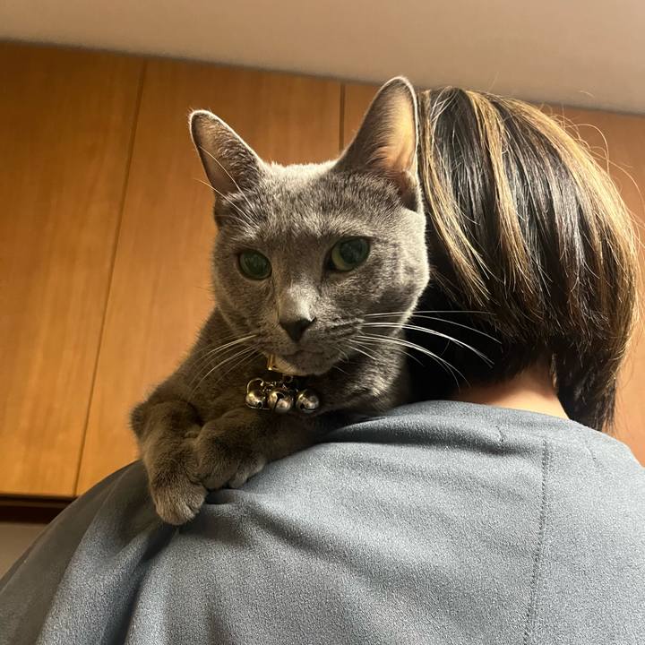 44e0bbac cf0a 4493 b309 ac34afc8f816 1737117945939