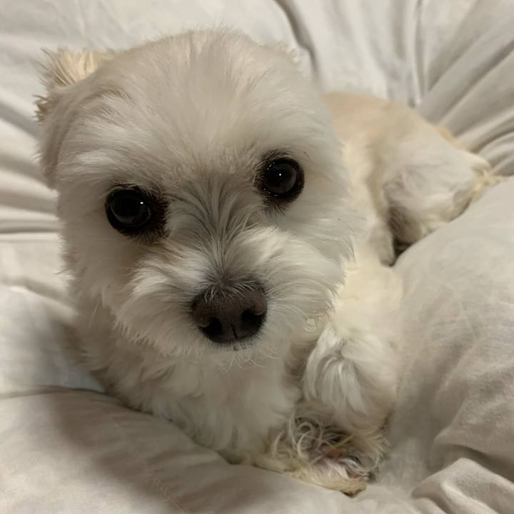 44e0bd99 af27 449e aa1c 5e3a33980616 1635073363527