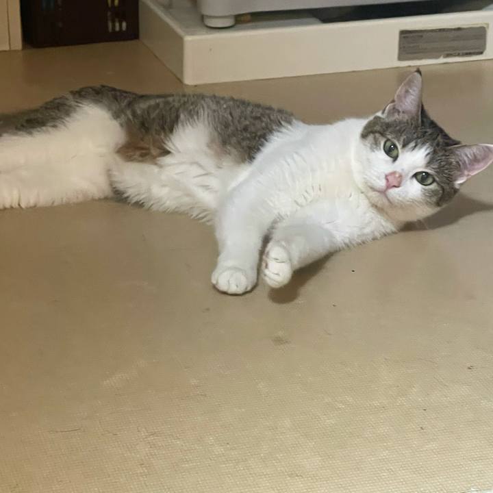 44e0c14a 9043 4e8d a59a 6d19b0e3a9f4 1625951815663