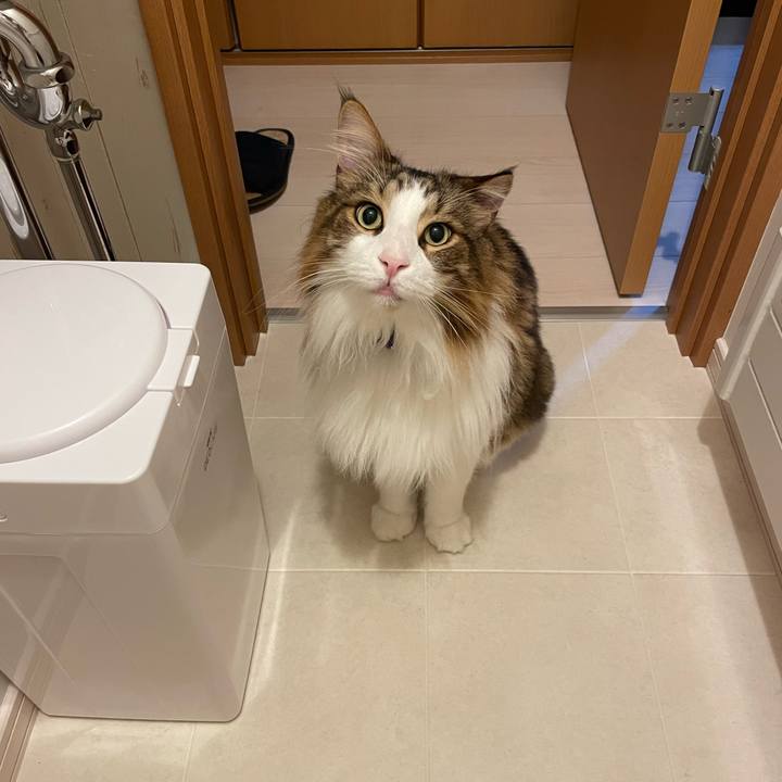 44e0f856 f567 474a 8653 de331b9c284e 1727814956105