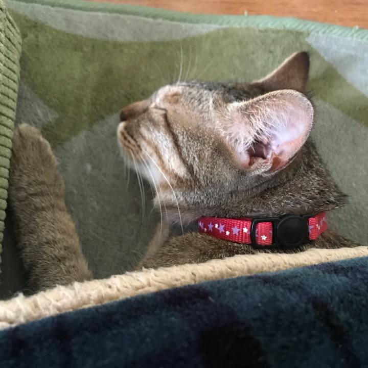 44e11e8c e32a 4678 b86a 8ffa4b84e145 1587453031767