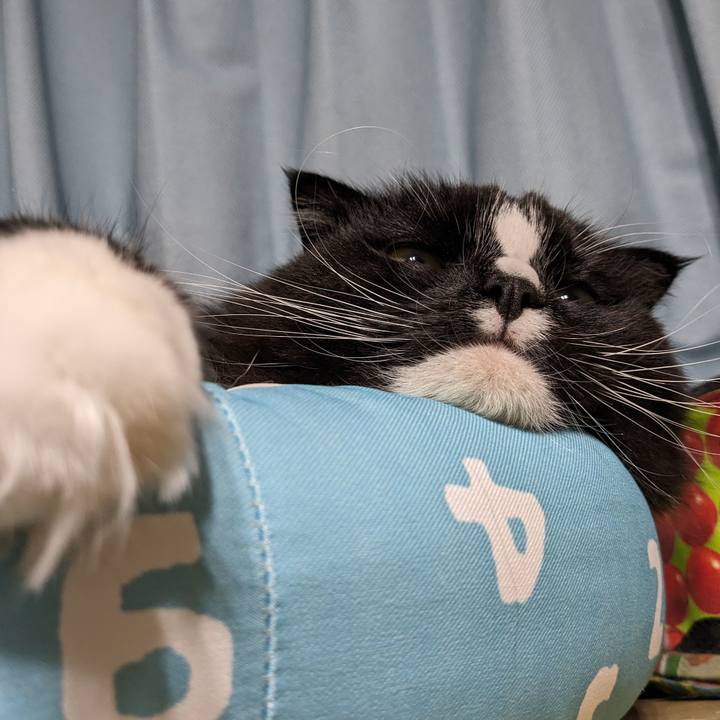 44e133a1 b871 4a01 a123 1065a98136f4 1702204562767