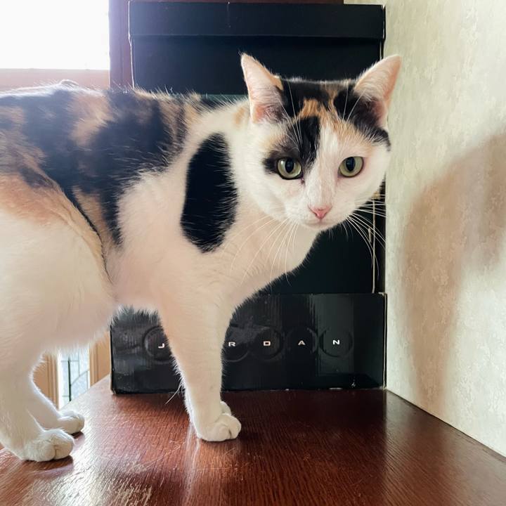 44e13afd 86e6 47c6 9815 250bba4e6339 1632968158583