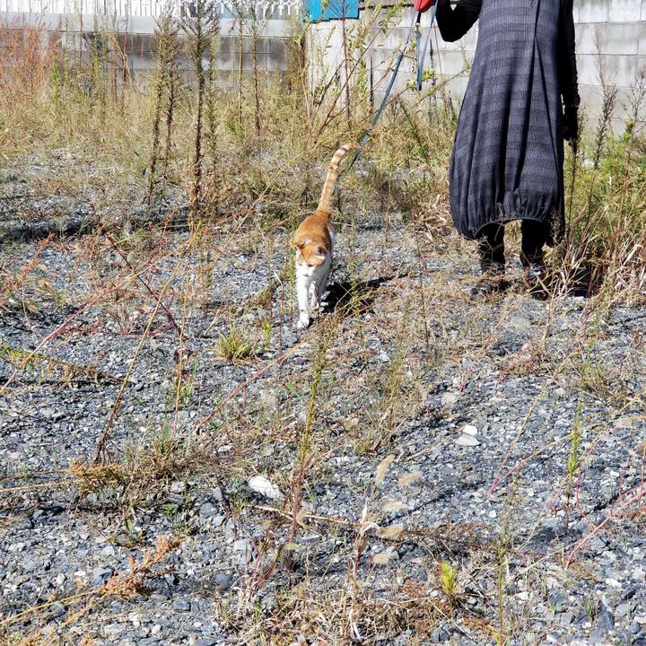 44e13ce1 13bf 44ba b0d1 11af12241153 1538975830318