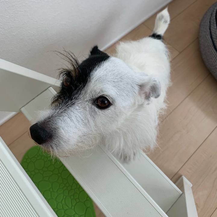 44e14b31 3998 4b02 bc64 62d837f4f1c4 1661825210936