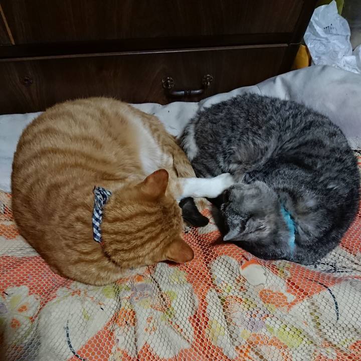 44e14b6d 8486 41dc 8fcb 993ad7f6e27c 1573044762311