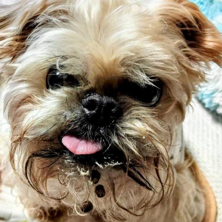 44e15996 9945 4ed4 b1cf d1962e2284f6 1680304529490