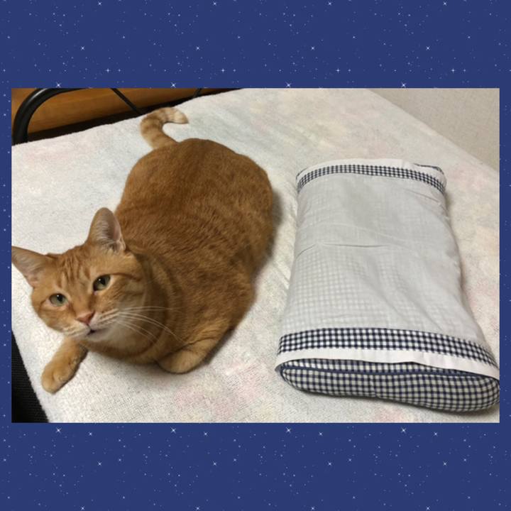 44e1c476 188c 4737 96d4 9bd63fafc9a8 1613736254033