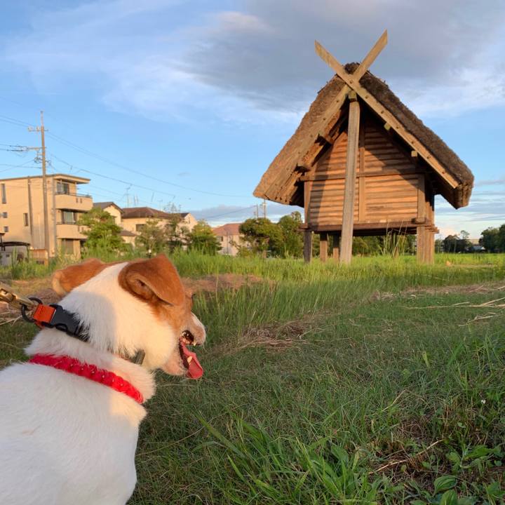 44e1ea71 54f0 4510 a16a ff47954feb48 1565603926712