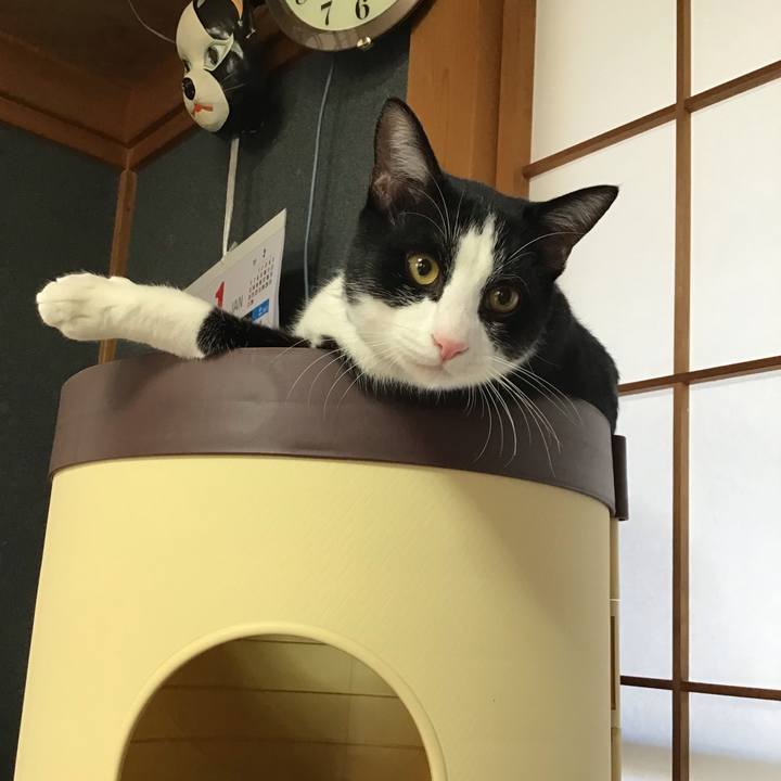 44e1f944 66be 4345 825c ed39cffe94bd 1641943117596