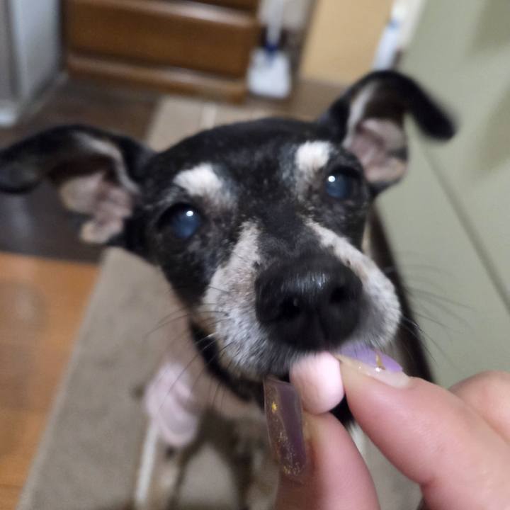 44e200af a0f1 49c4 9ad3 8247c1712c17 1762112384337