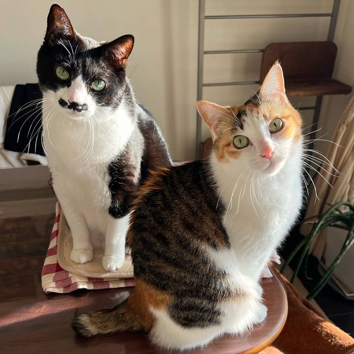 44e208ac 41b3 48c7 8070 f01fc6cbecc7 1766965019683