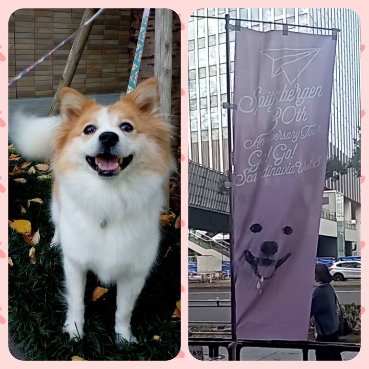 44e21b27 af26 475f 8e5c 8c40594cb951 1675854601705