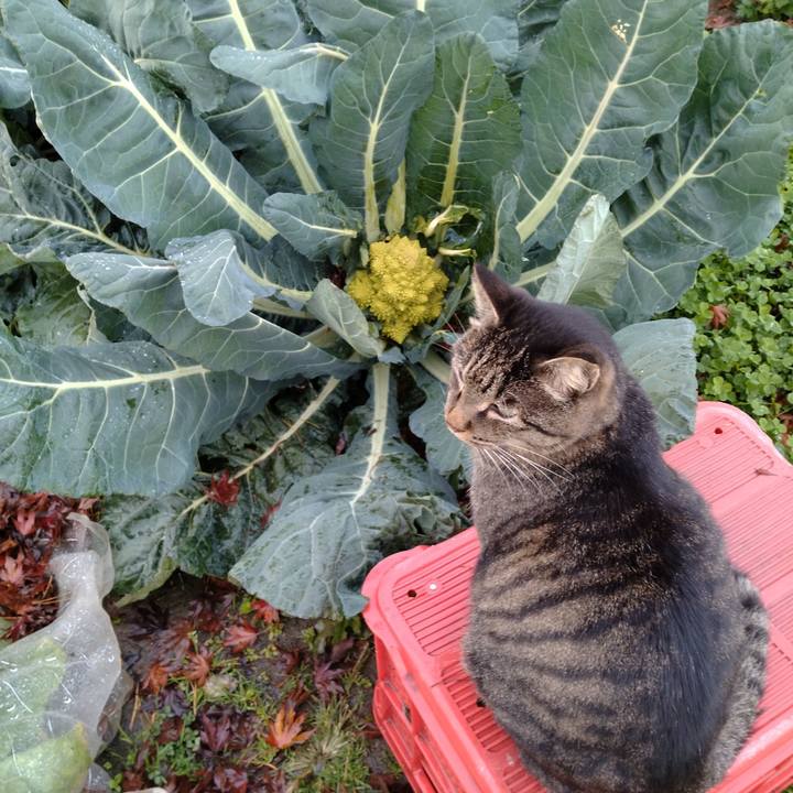 44e24ae9 ba67 44e8 b02d c778649b8a78 1700205160546