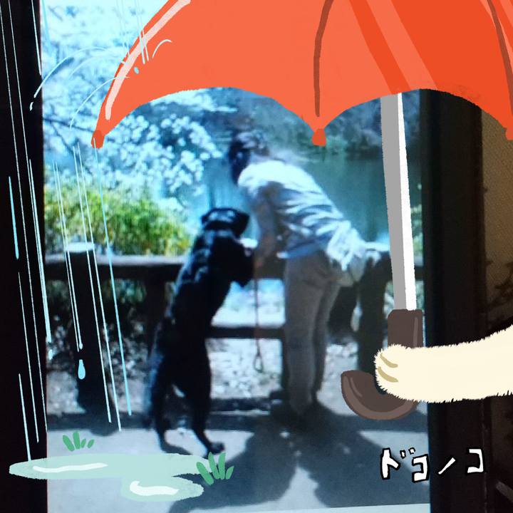 44e26ea8 ad73 4e6a 8cfa fedc60d2990f 1749580607545