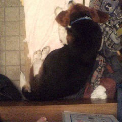 44e274f1 8c4f 47b4 a7e4 b1798a944706 1727906137382