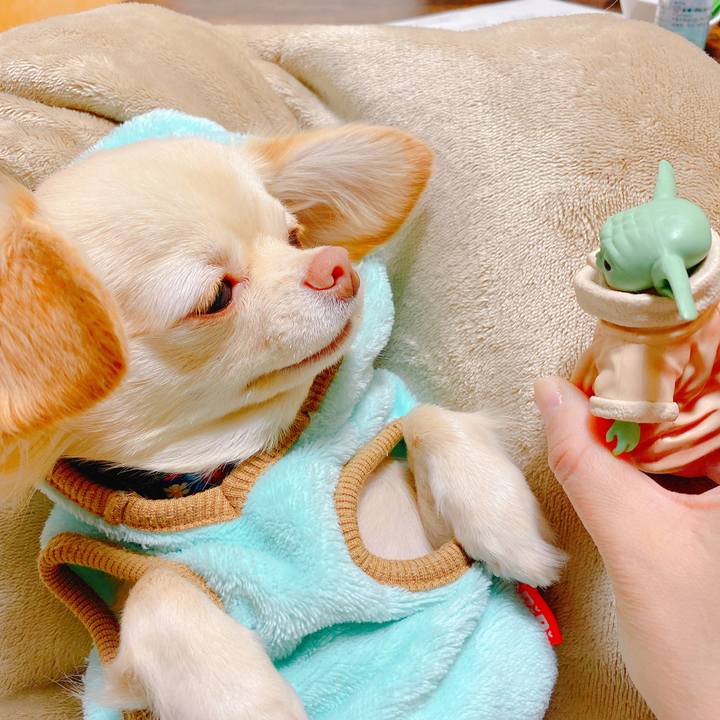 44e28938 a4e4 4552 aaf9 65f54e75a9df 1640600670205